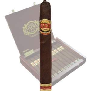 Casa Magna D Magnus Primus  - Single