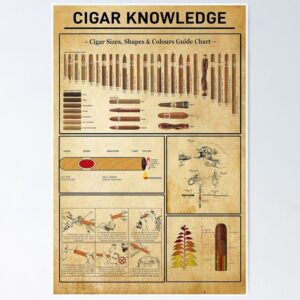 Cigar knowledge Canvas Print Poster - 19".8x27".6
