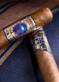 Dominion Black Lotus Robusto - Single