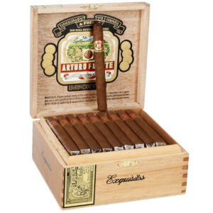 Arturo Fuente Exquisitos Natural - Single