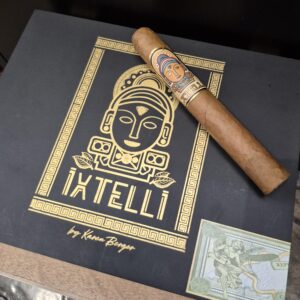 Karen Berger Ixtelli Toro - Single